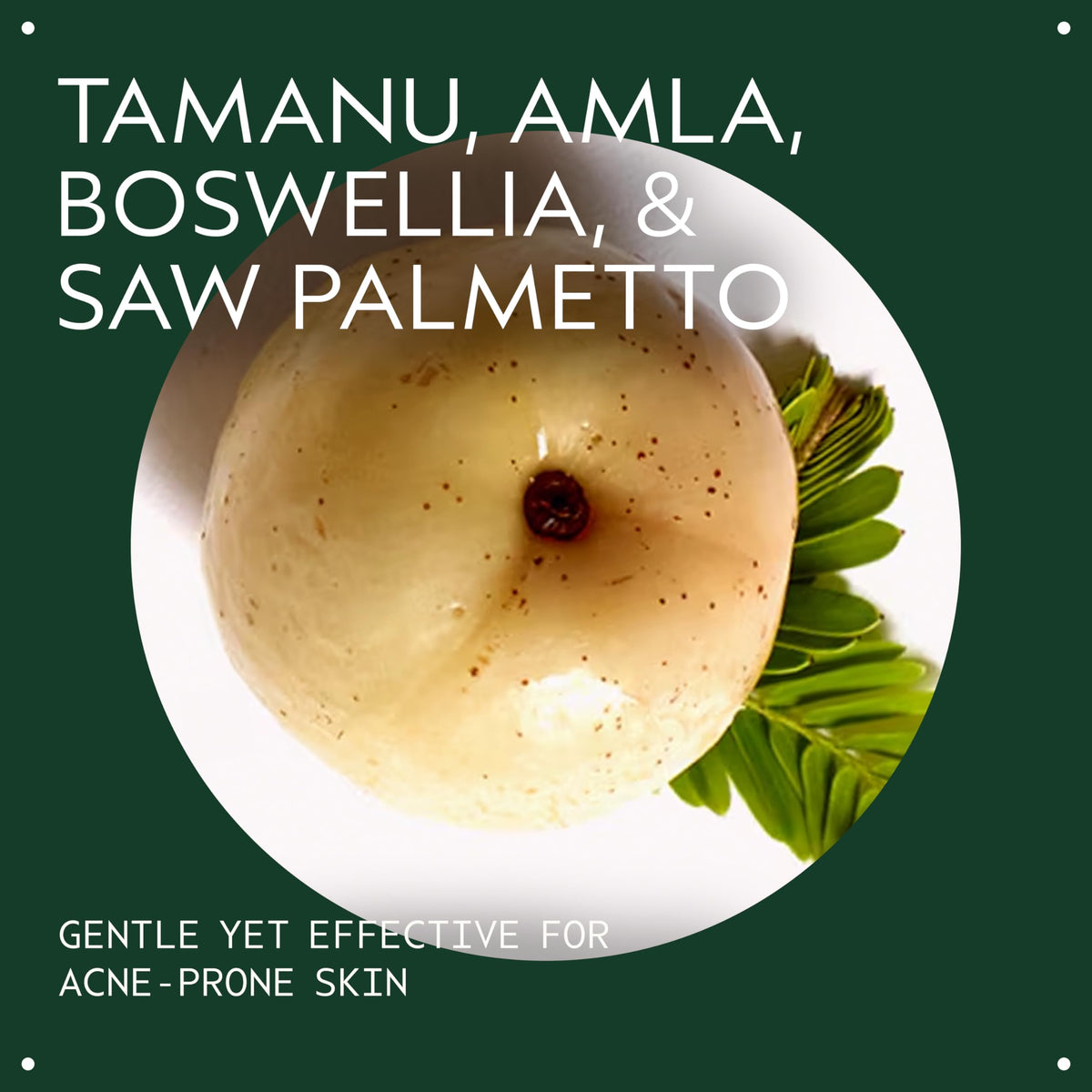 Aveda Outer Peace botanical ingredients flatlay highlighting plant extracts