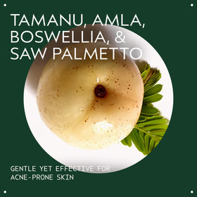 Aveda Outer Peace botanical ingredients flatlay highlighting plant extracts