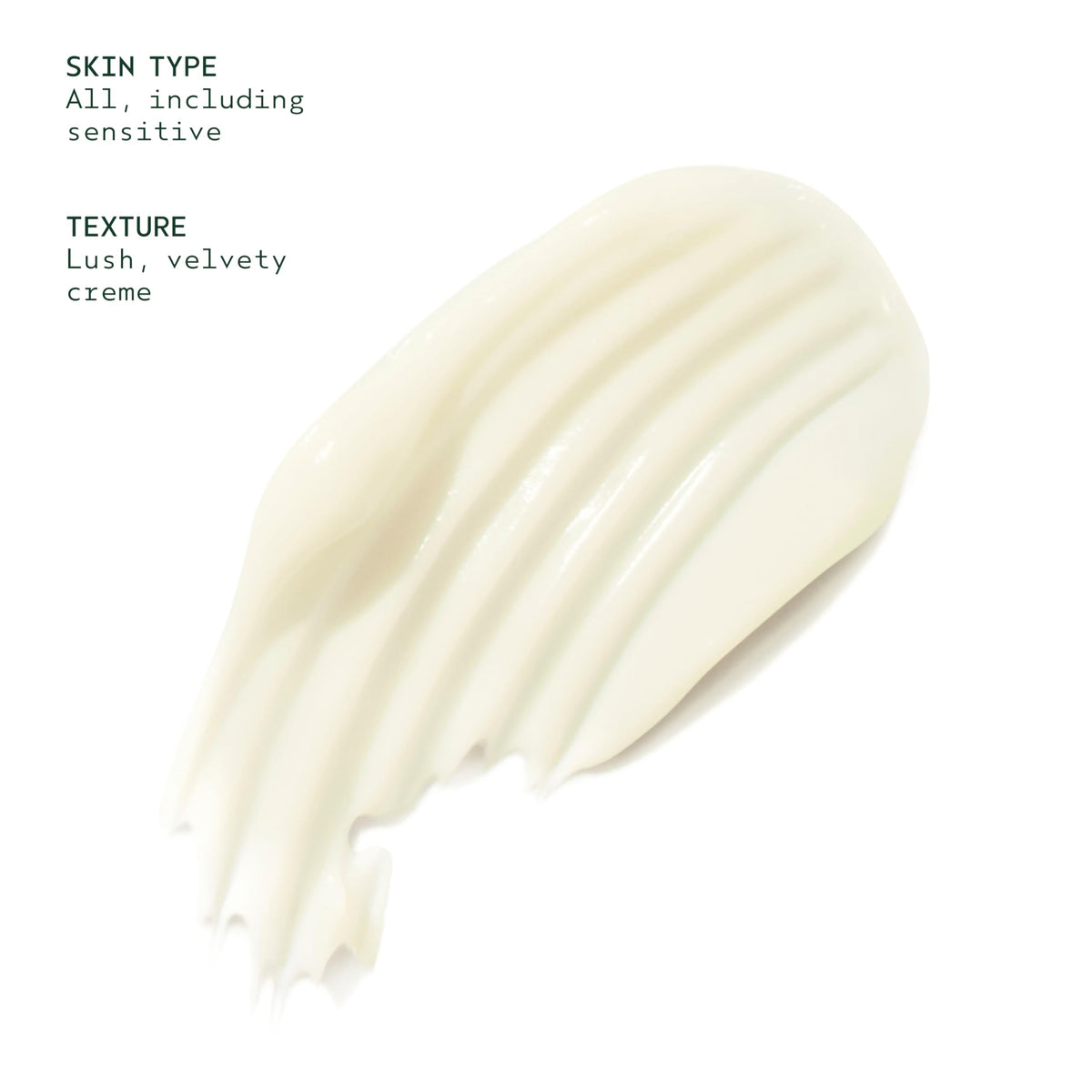 Aveda open jar top view revealing creamy consistency for immediate moisturization