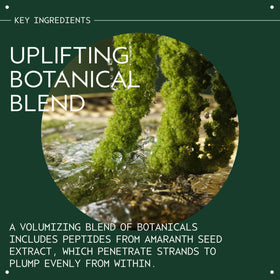 Amaranth seed and botanical illustration highlighting volumizing ingredient benefit