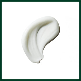 Citrus essences arranged with Aveda product illustrating Pure-Fume scent and refreshing aroma