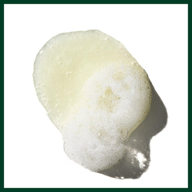 Aveda Pure-Formance size comparison with 10.1 fl oz showing travel suitability