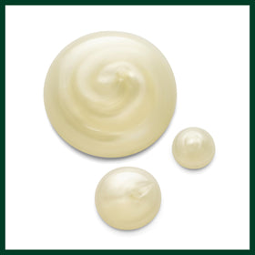 Aveda ingredients label close-up, highlights plant-derived and clean formulation