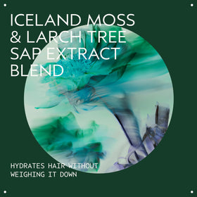 Aveda sap moss shampoo texture lather demonstrating gentle cleansing