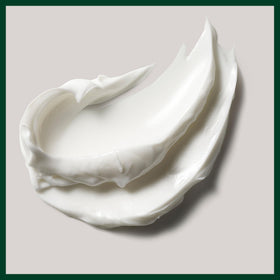 Aveda Stress-Fix ingredients close-up with sea algae and shea benefit