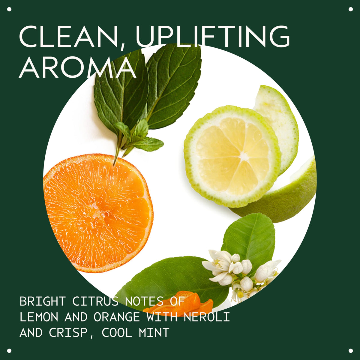 Aveda shampoo foam on hand showing gentle lather benefit