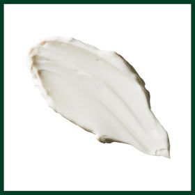 Fresh botanicals beside Aveda jar emphasizing plant-derived ingredient benefit