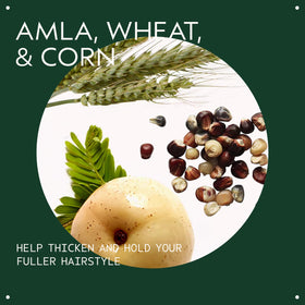 Aveda ingredient close-up of certified organic amla highlighting natural plant benefit