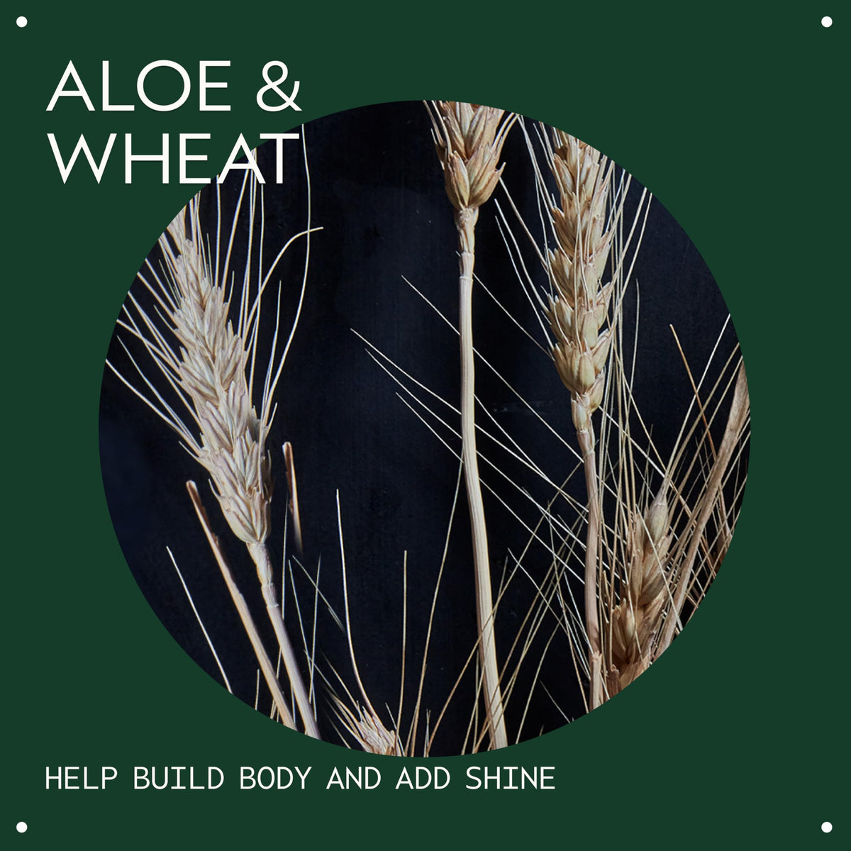 Aveda close-up label highlighting organic aloe and wheat amino acids