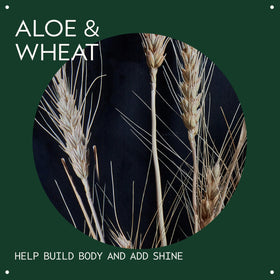 Aveda close-up label highlighting organic aloe and wheat amino acids