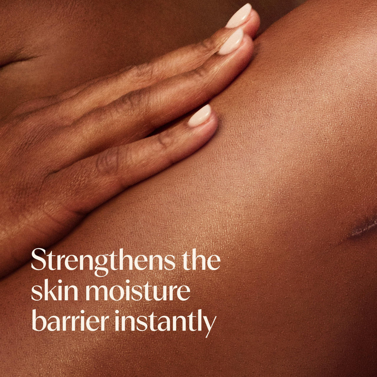 Aveeno oat and shea butter ingredients display highlighting soothing hydration