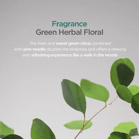 AYUNCHE applied to scalp showing targeted use for soothing and protection