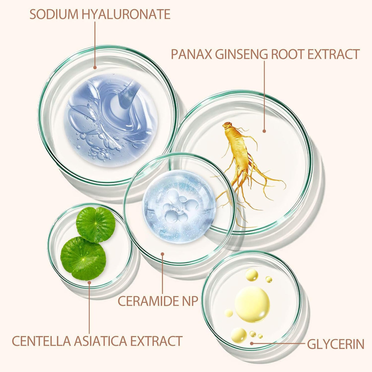 Azmaker vegan blending sponge with foundation for seamless application benefit