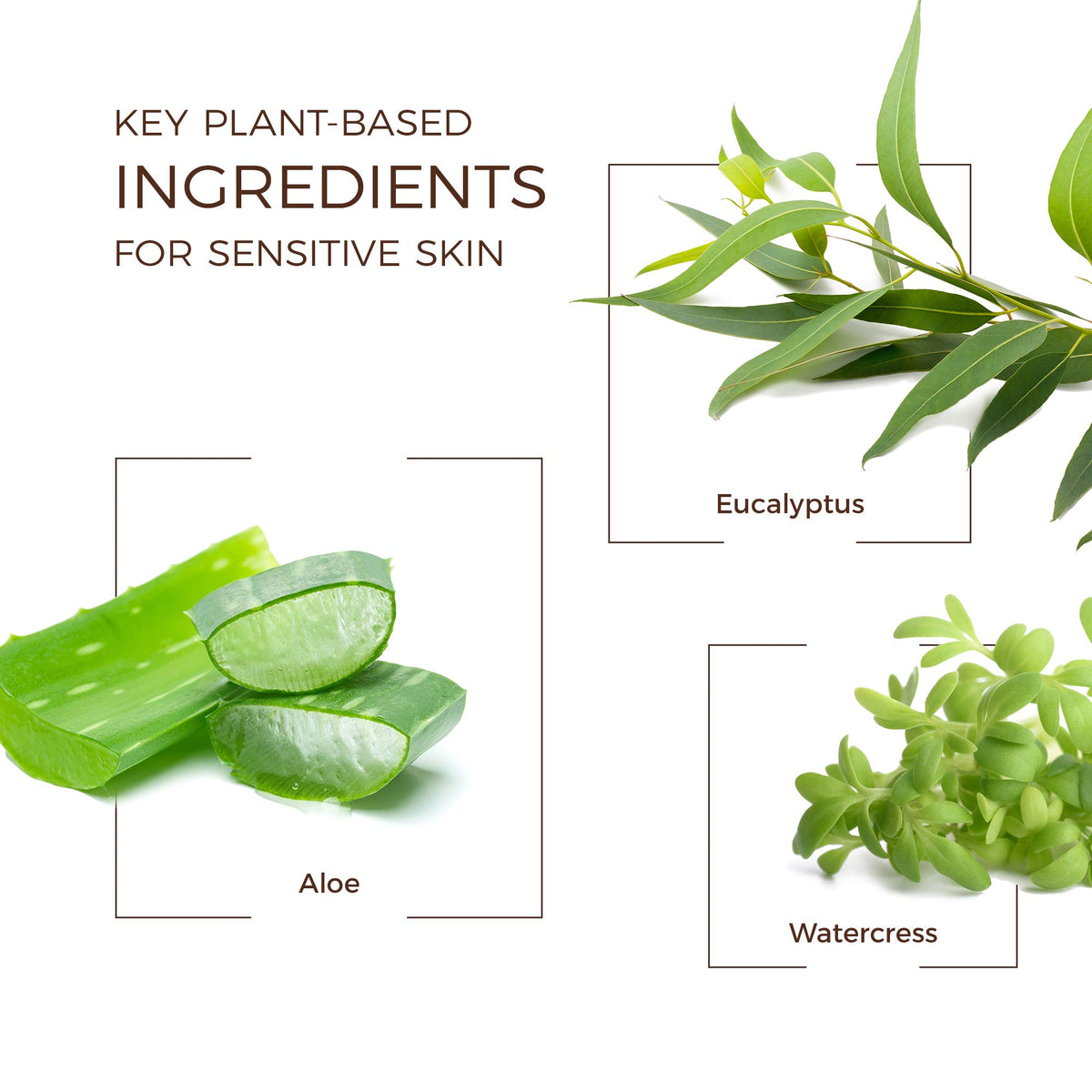 Babo Botanicals dispensing gel to demonstrate easy application