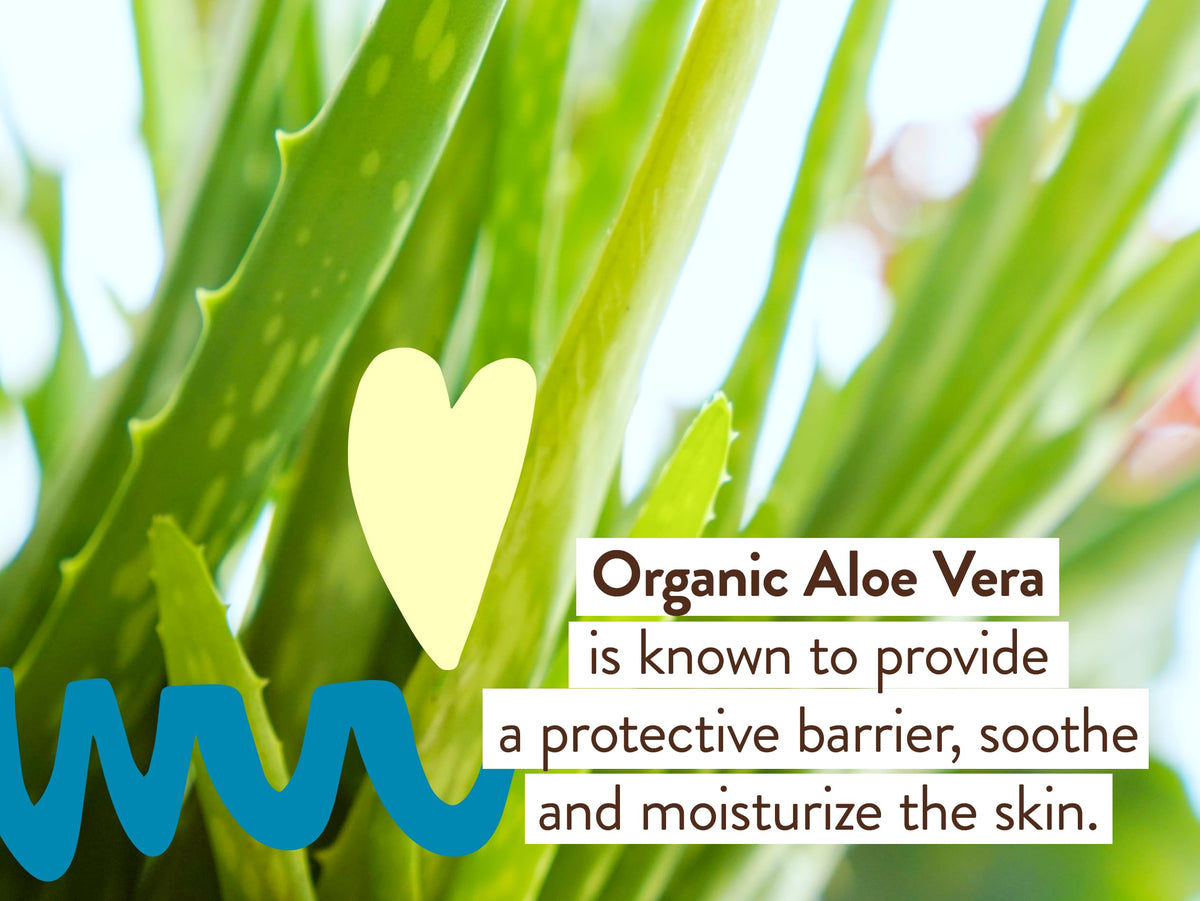 Babo Botanicals being applied to face and neck showing easy daily application