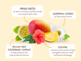 babo botanicals carton size compared to hand, illustrates compact, low-plastic packaging