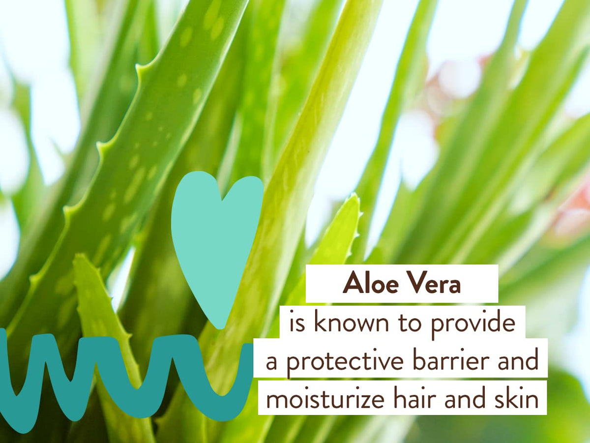 babo botanicals aloe vera and rosemary ingredients highlighting nourishment