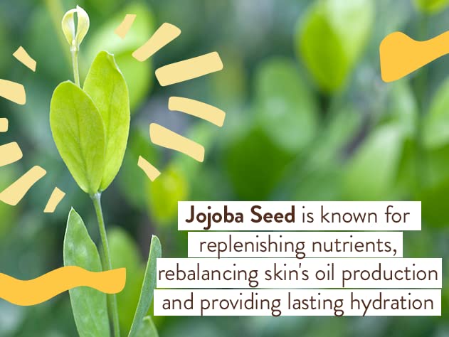 Babo Botanicals jojoba and passion fruit oil ingredients for skin nourishment