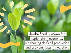 Babo Botanicals jojoba and passion fruit oil ingredients for skin nourishment