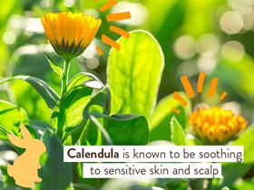 Babo Botanicals oat and calendula close-up highlighting botanical nourishment
