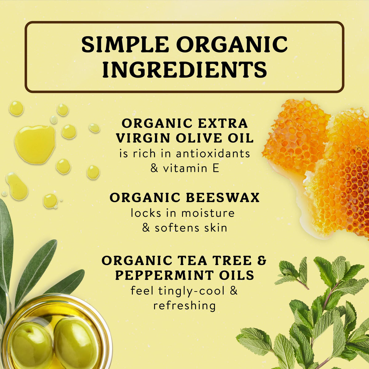 Badger ingredient oils display of olive and jojoba oils highlighting natural hydration