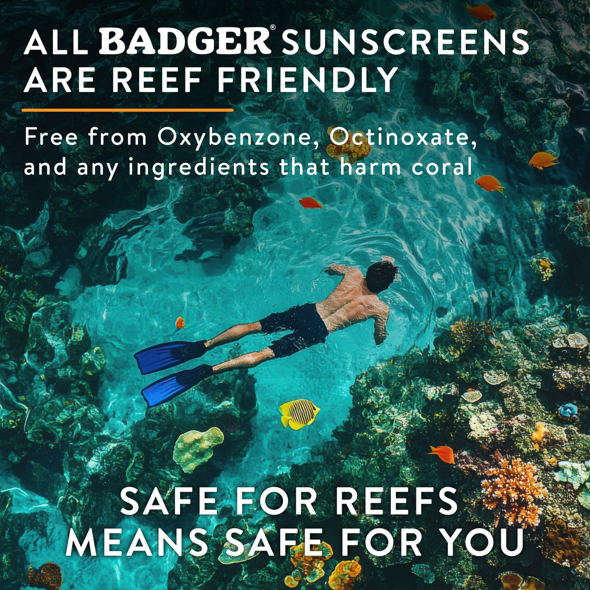 Badger label close-up highlighting organic ingredients and reef-safe claim