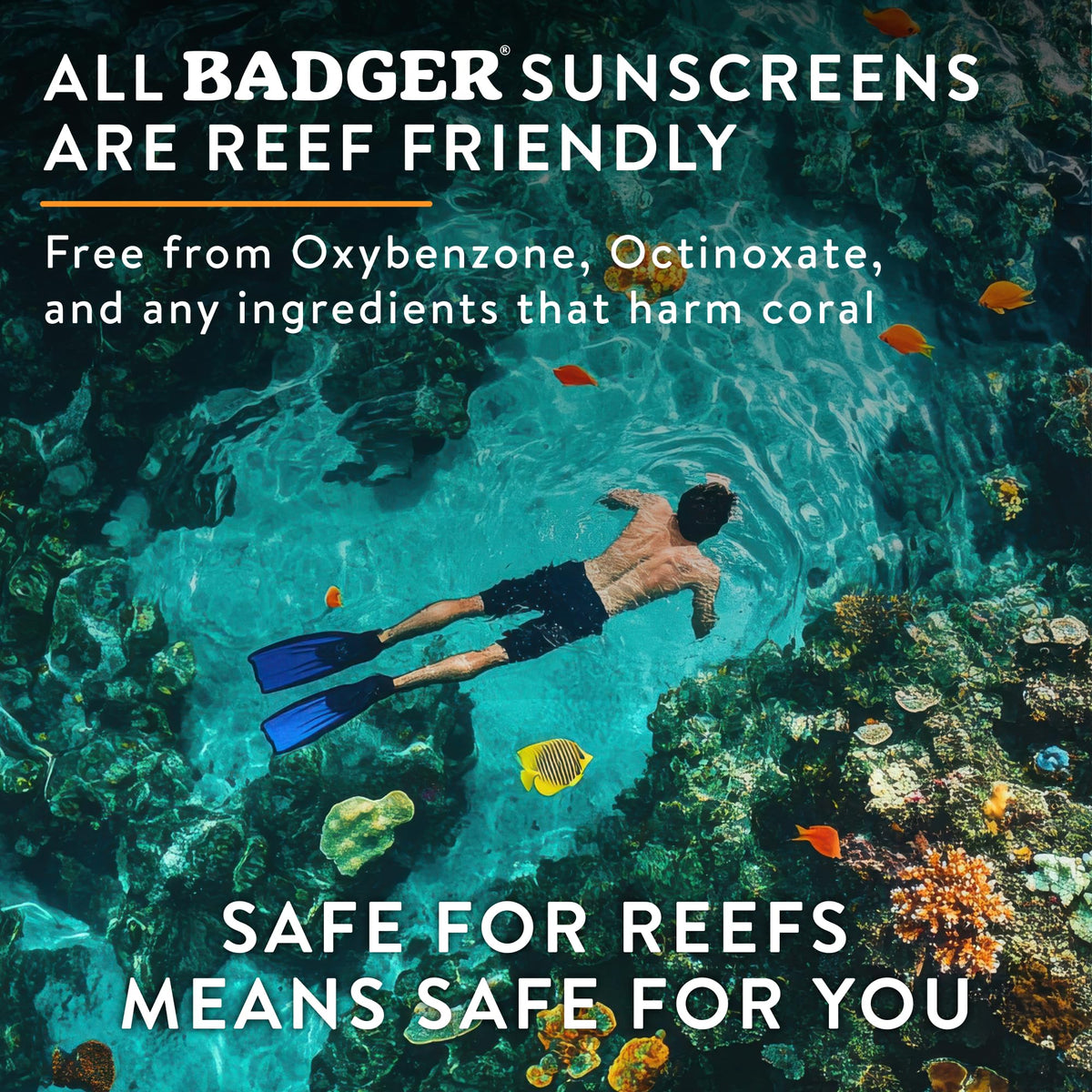 Badger label close-up listing zinc oxide and organic ingredients for transparency