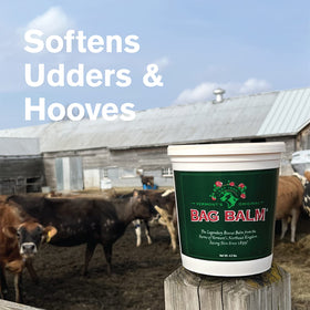 Applying Bag Balm to dry hands to restore softness and protection