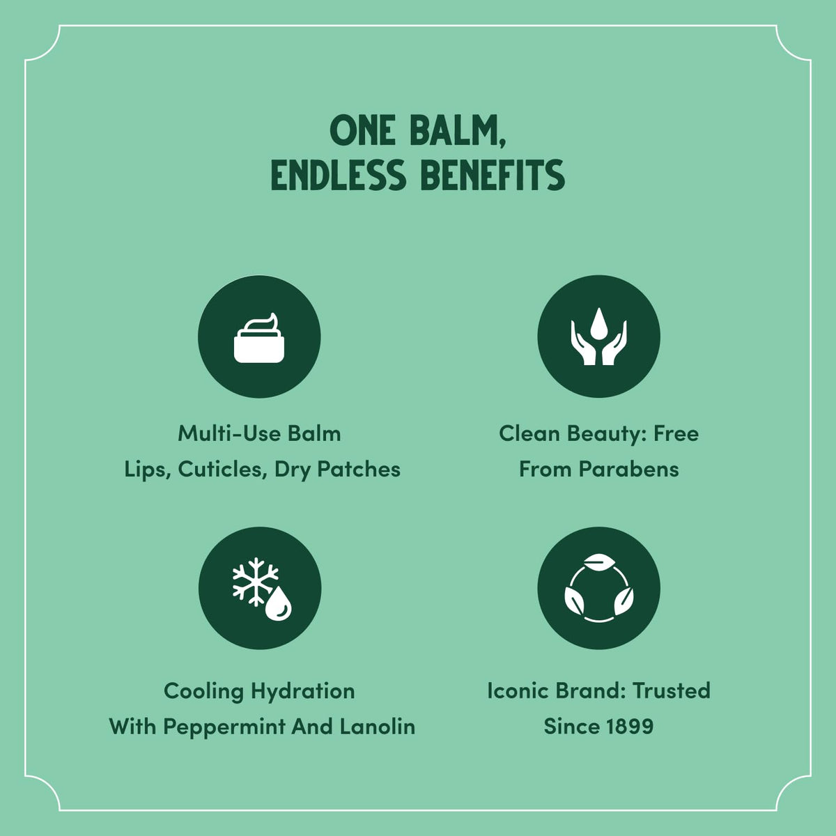 Bag Balm label close-up showing Vitamin E mention and clear ingredient focus
