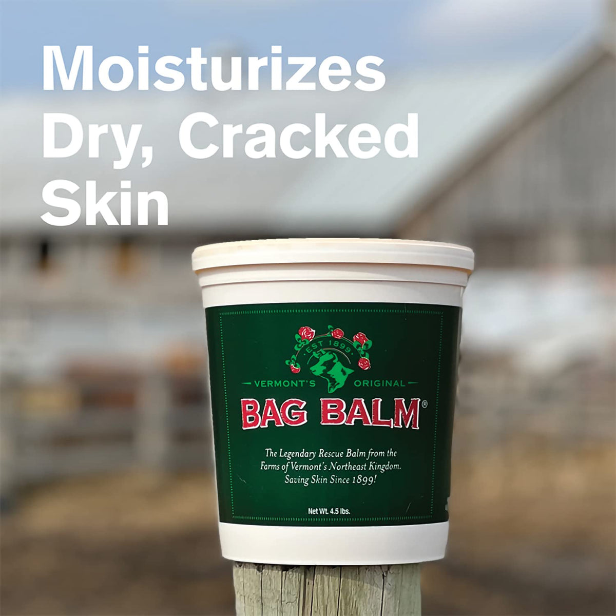 Open Bag Balm pail showing thick ointment texture for long-lasting moisture