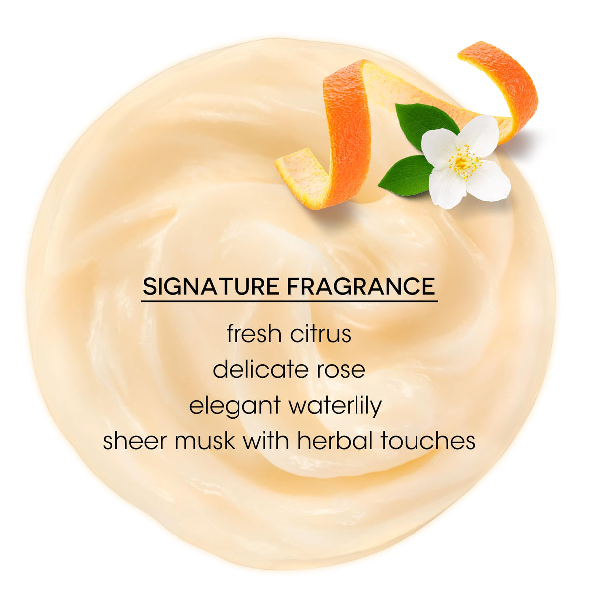 Bain de Terre argan and monoi oils arranged to show nourishing botanicals