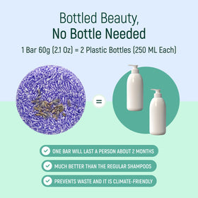 BAMBOEARTH labels for lavender honey seaweed chamomile essences and benefits