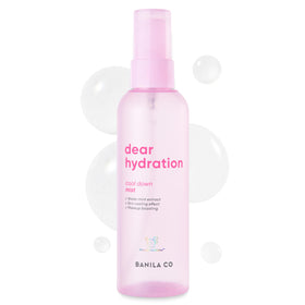 BANILA CO front packaging showing sleek bottle and product name for easy identification