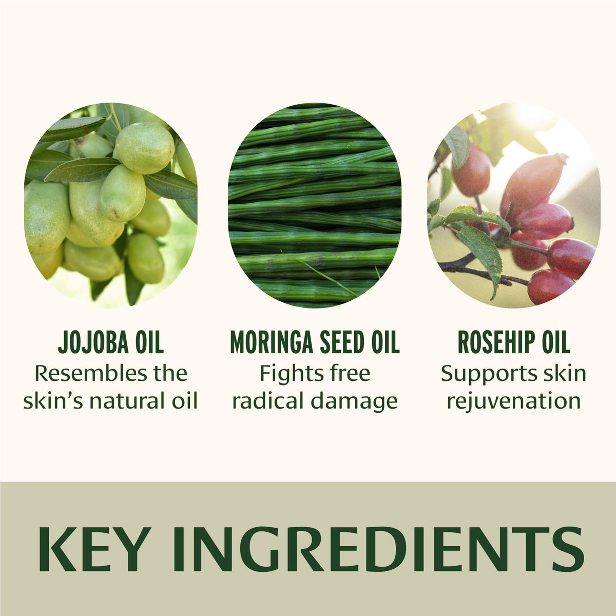 Banyan Botanicals ingredients flatlay with rosehip and jojoba for nourishing benefits