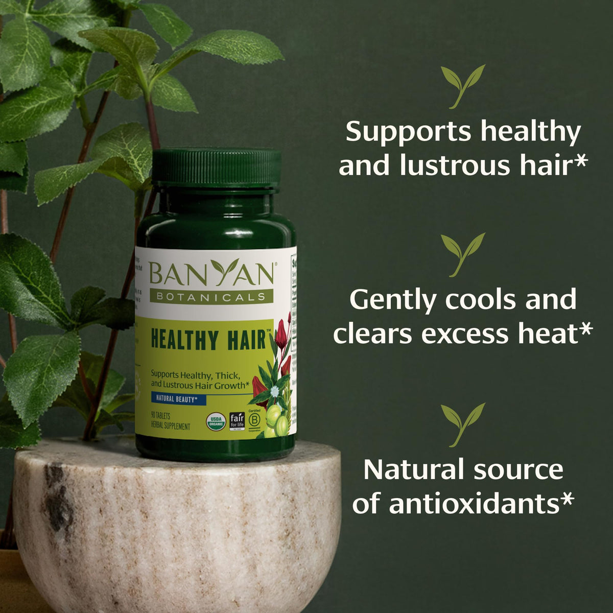 Banyan Botanicals lifestyle image of woman combing hair showing improved shine