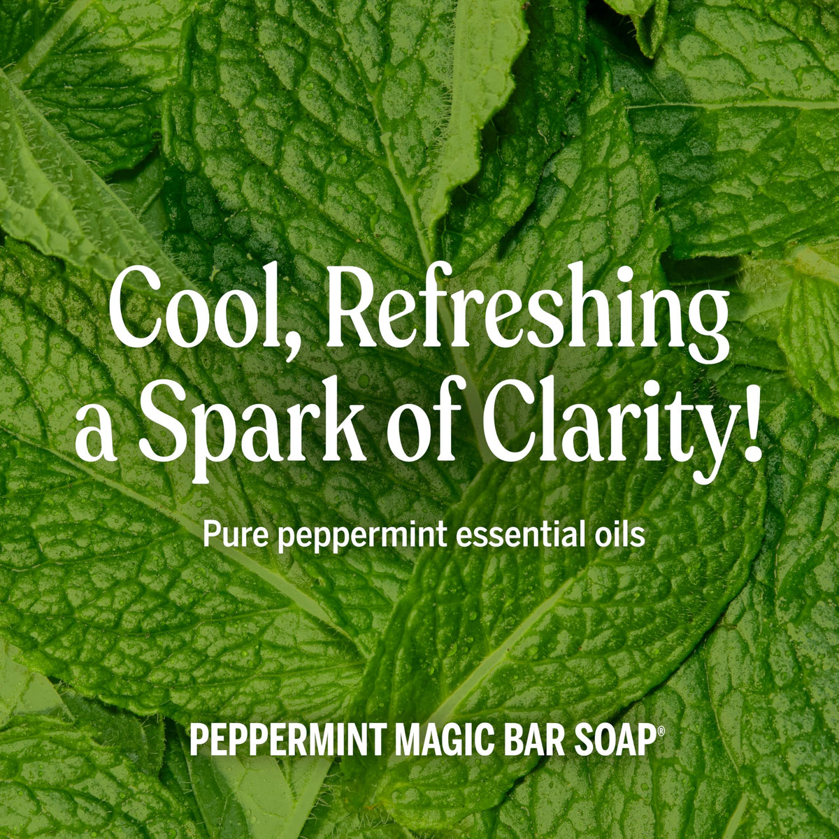 Hand holding a 5 oz Dr. Bronner's bar to show real size and convenient portability benefit