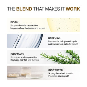 Bare Anatomy applying serum to scalp demonstrating targeted use