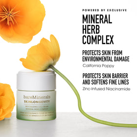 bareMinerals active ingredients display with niacinamide and antioxidants benefits