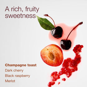 Bath & Body Works Champagne Toast bottle on vanity offering light celebratory fragrance