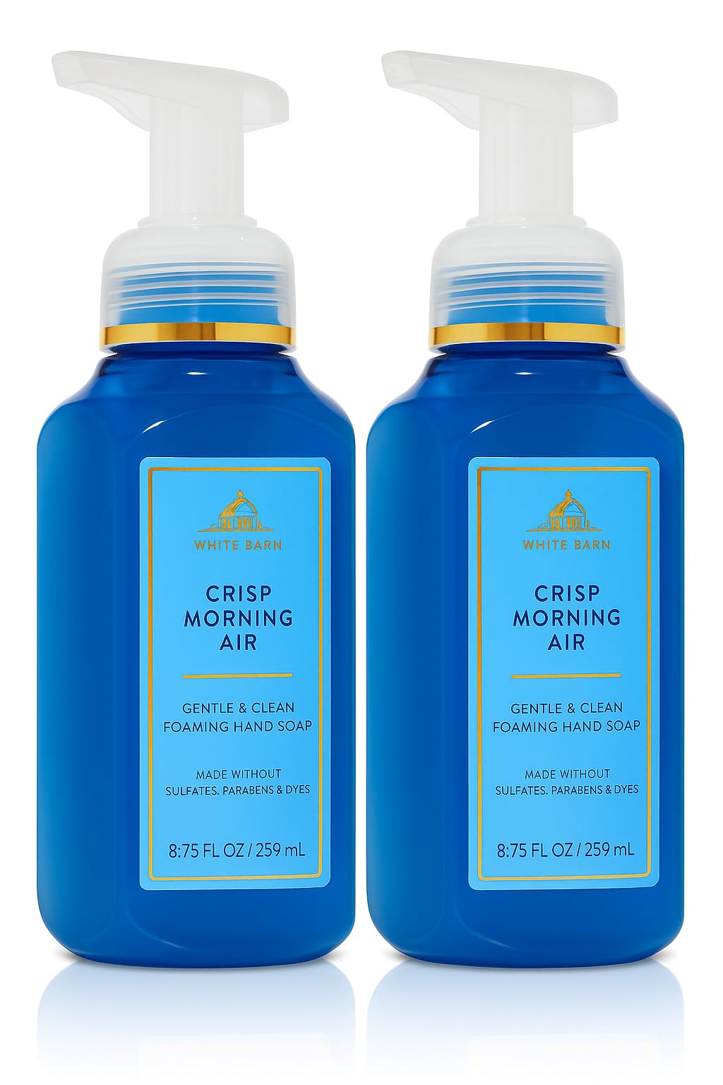 Bath & Body Works front packaging showing two bottles and clear foaming pump