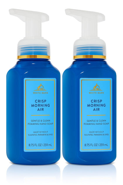 Bath & Body Works front packaging showing two bottles and clear foaming pump