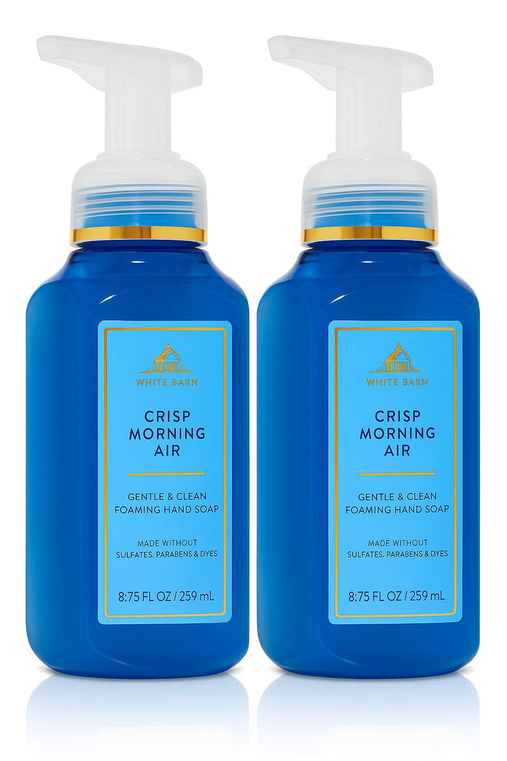 Bath & Body Works front packaging showing two bottles and clear foaming pump