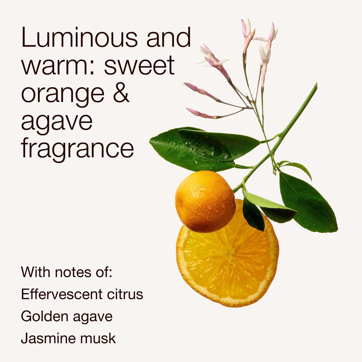 Bath & Body Works foam texture on hands demonstrating gentle, non-drying lather