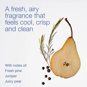 Bath & Body Works foam texture demonstrating rich lather and softness