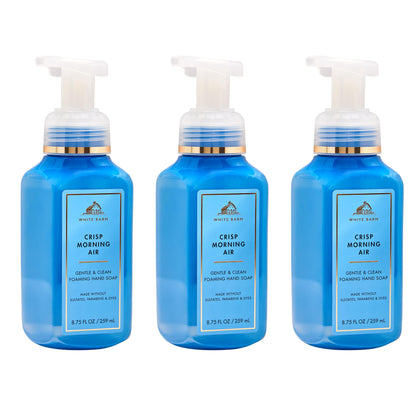 Bath & Body Works front packaging showing clean bottle and scent