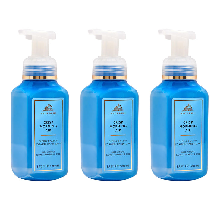 Bath & Body Works front packaging showing clean bottle and scent