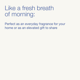 Bath & Body Works on morning counter portraying fresh home atmosphere