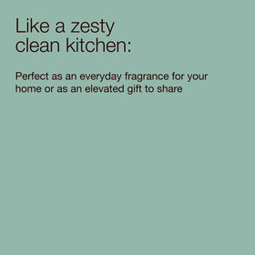 Bath & Body Works hand soap placed at a styled kitchen sink for fresh atmosphere