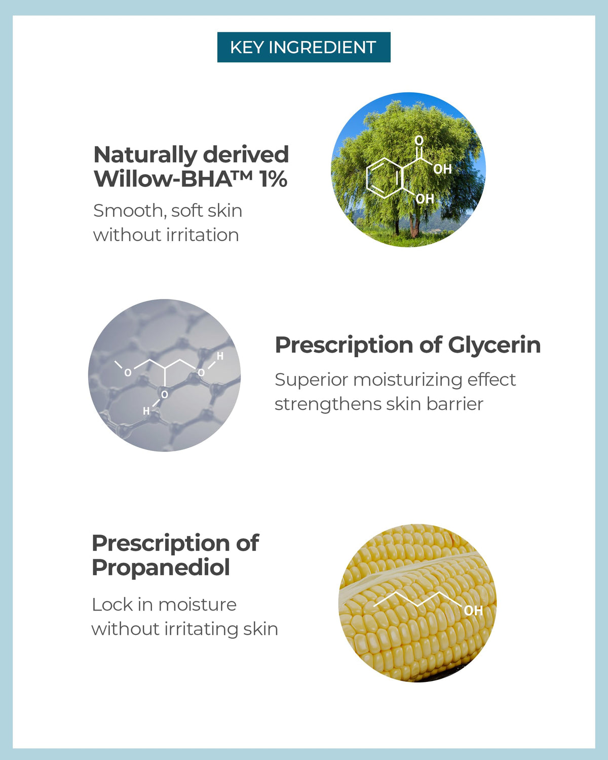 BE THE SKIN ingredient label detail highlighting willow bark and salicylic acid