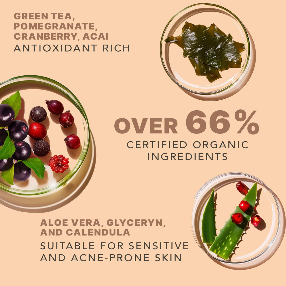 Beauty by Earth bottle beside botanicals showing natural ingredients and purity